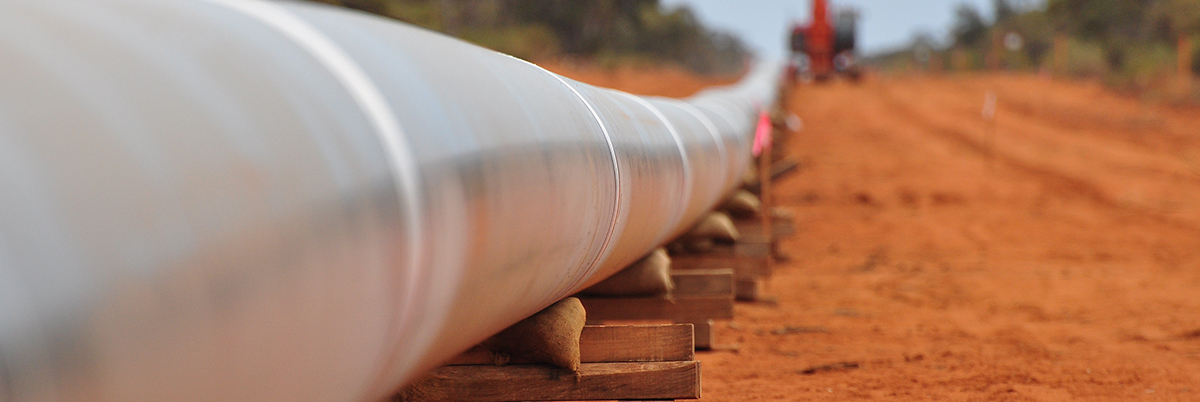 Western Australian Feasibility Study